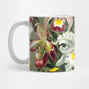 Orchid Vintage Botanical Illustration Mug